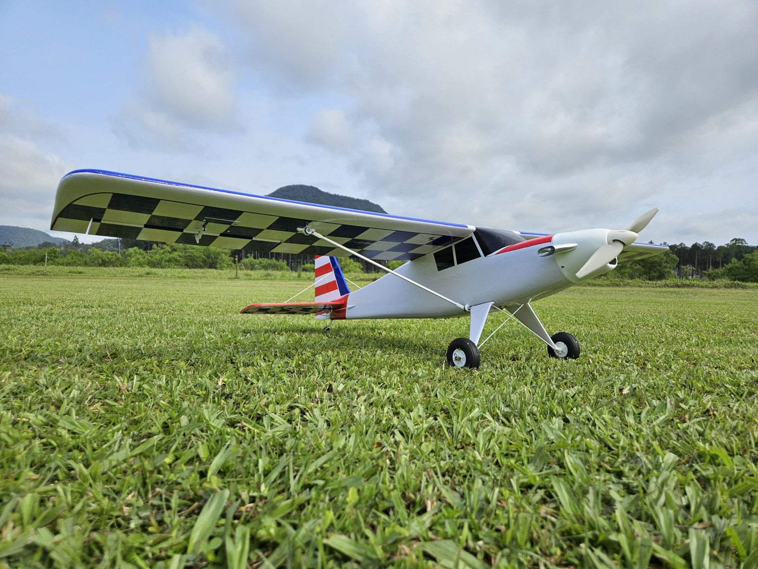 Planta Aeromodelo Super Timber 1,6m Envergadura - Isopor E Depron