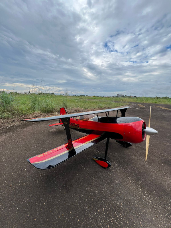 THE BEAST HANGAR 9 DLE 111CC